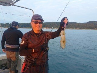 アオリ(アオリイカ)