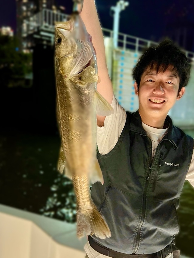 シーバス(スズキ)