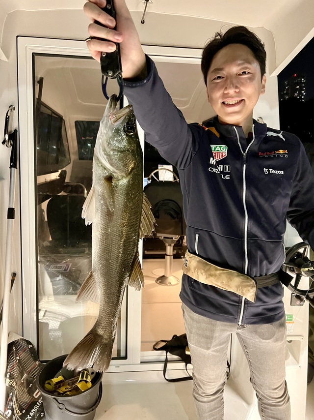 シーバス(スズキ)