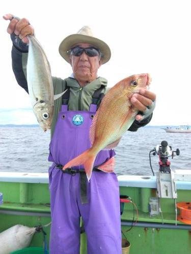 マダイ・アジ(マアジ)