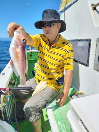 アマダイ(アカアマダイ)