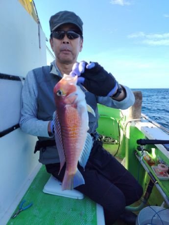 アマダイ(アカアマダイ)