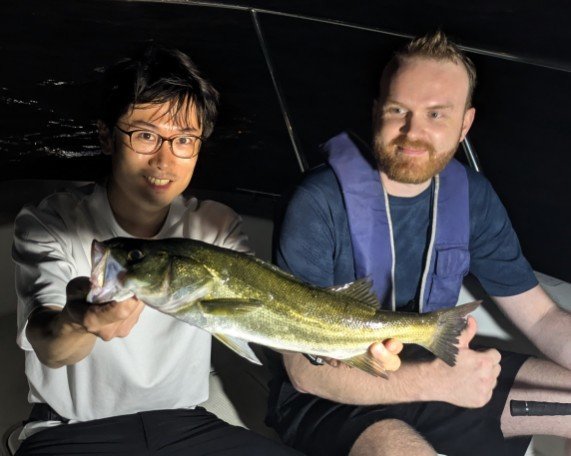 シーバス(スズキ)