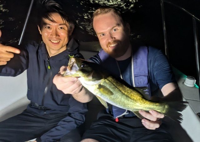 シーバス(スズキ)