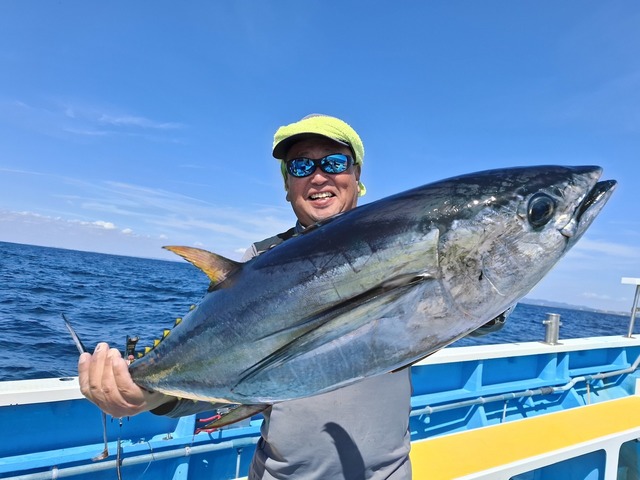 キメジ(キハダ)