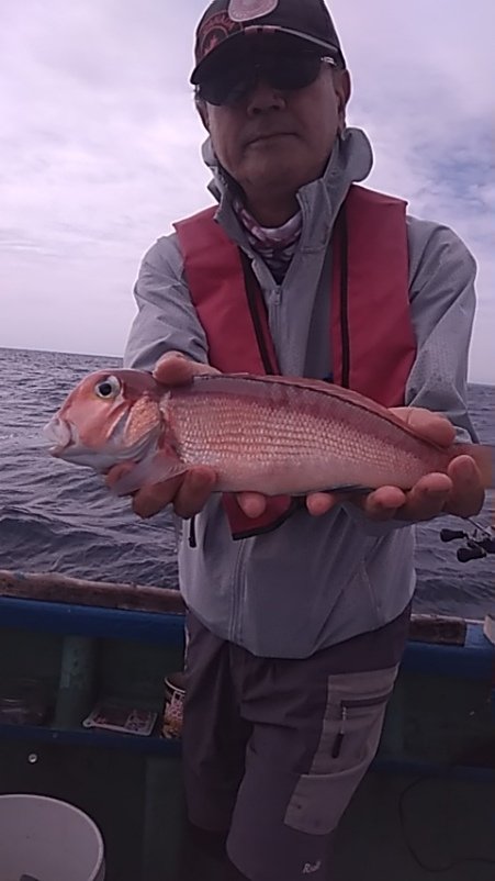 アマダイ(アカアマダイ)