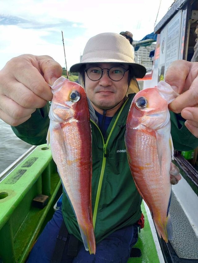 アマダイ(アカアマダイ)