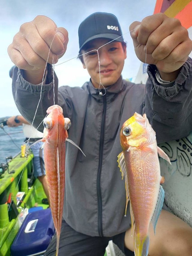 アマダイ(アカアマダイ)