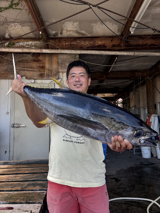 キメジ(キハダ)