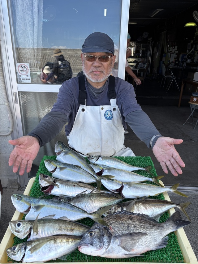 クロダイ・アジ(マアジ)