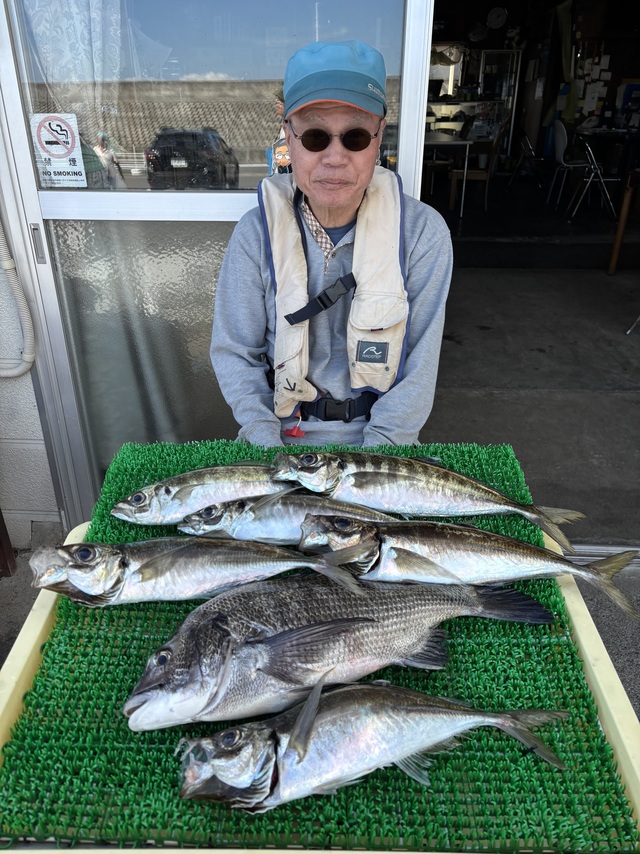 クロダイ・アジ(マアジ)