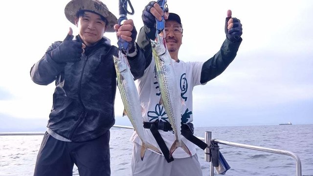 サゴシ(サワラ)