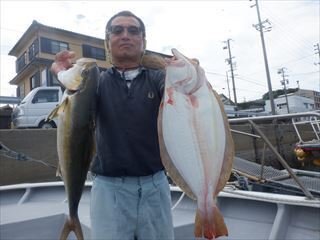 カンパチ・ヒラメ