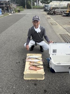 オオモンハタ・カンパチ・ヨコスジフエダイ