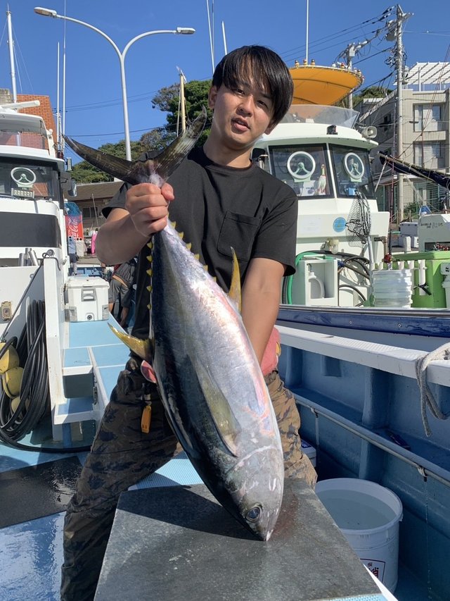 キハダマグロ(キハダ)