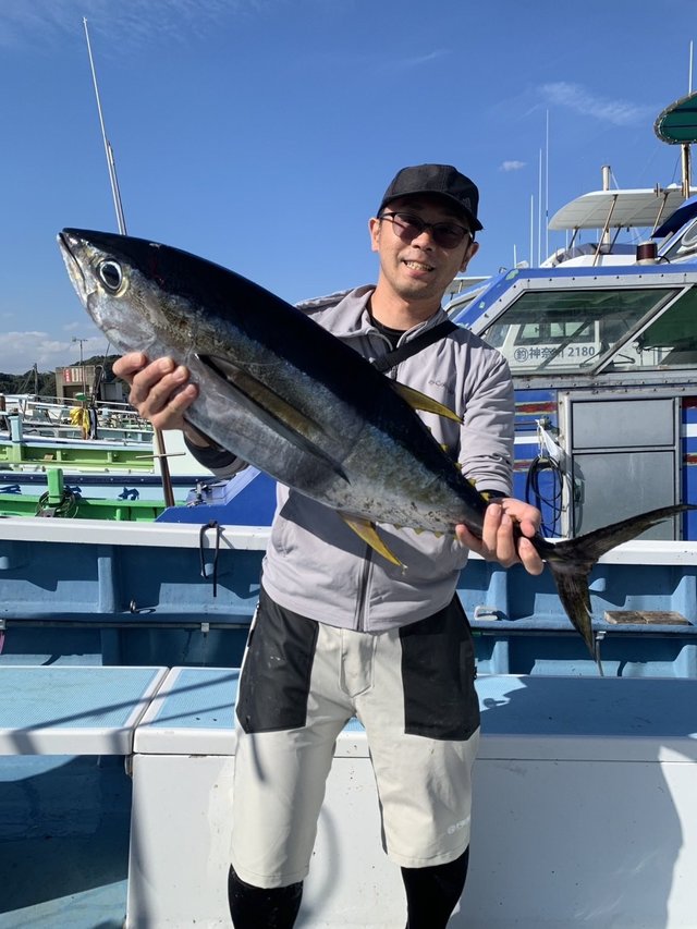 キハダマグロ(キハダ)