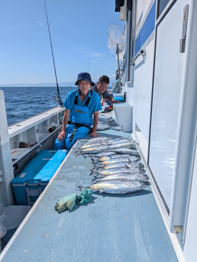 ホンガツオ(カツオ)