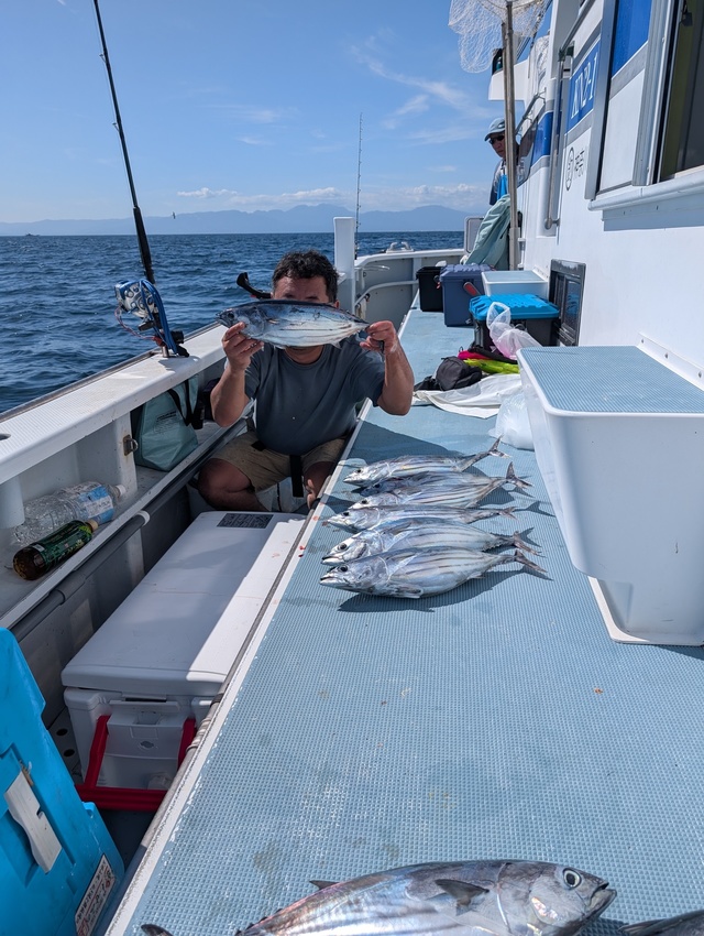 ホンガツオ(カツオ)