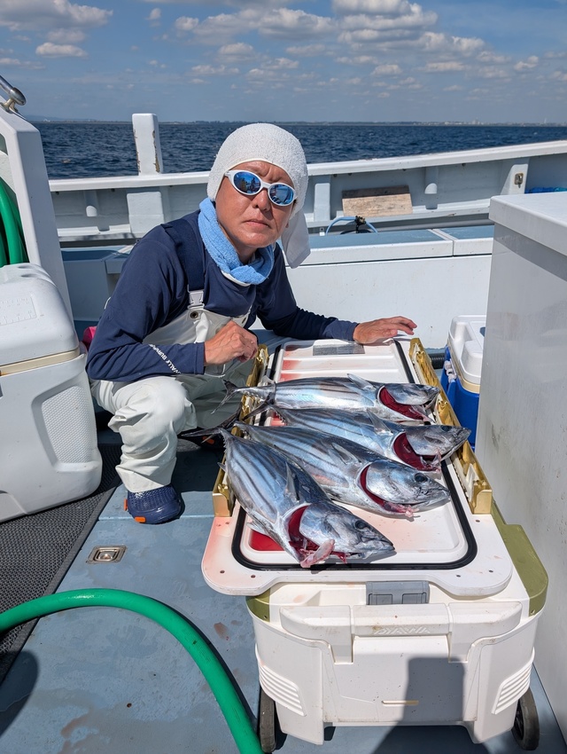 ホンガツオ(カツオ)