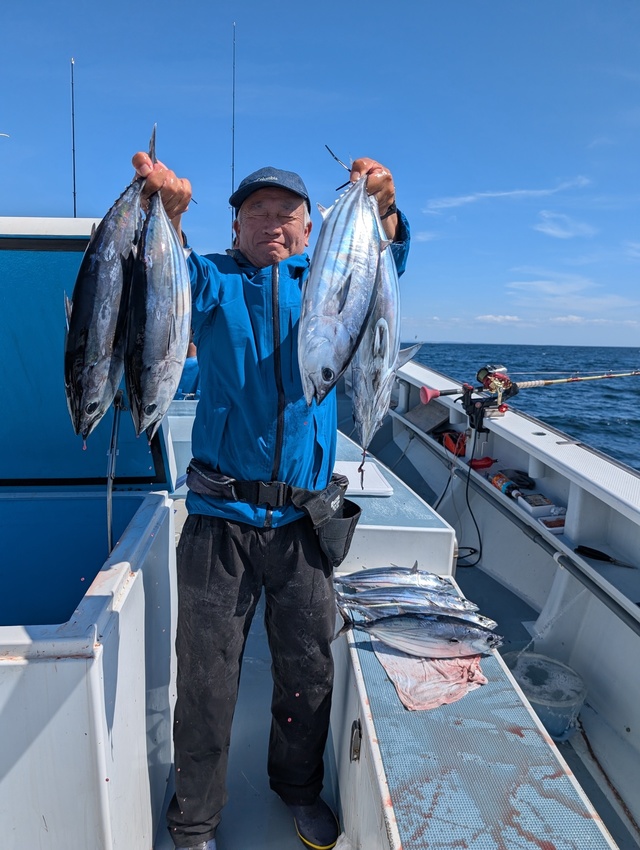 ホンガツオ(カツオ)