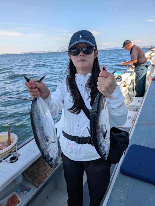 ホンガツオ(カツオ)