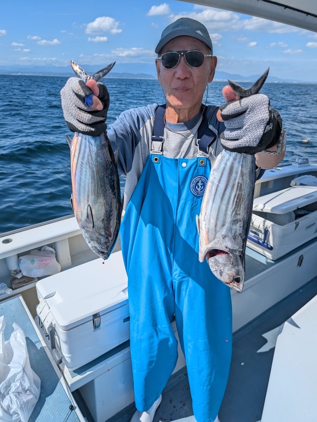 ホンガツオ(カツオ)