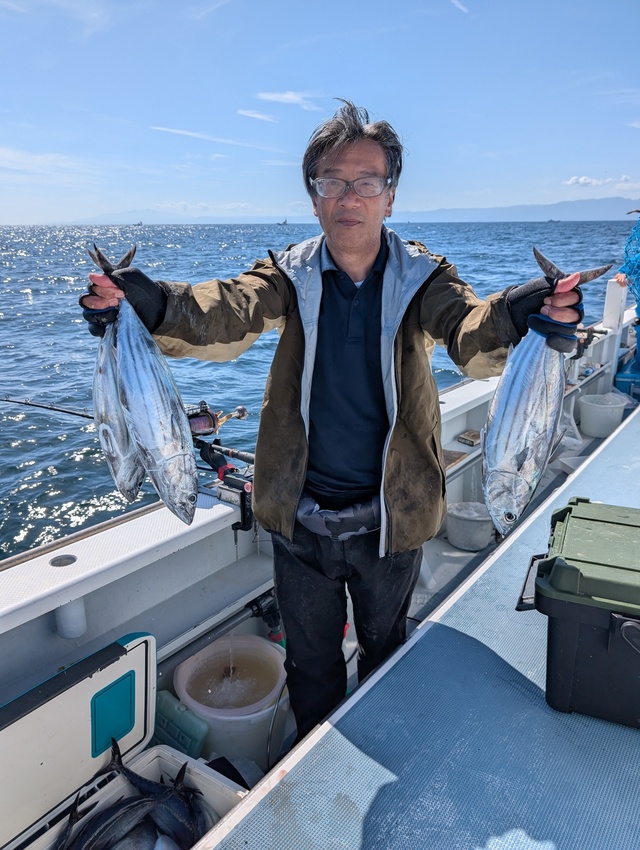 ホンガツオ(カツオ)