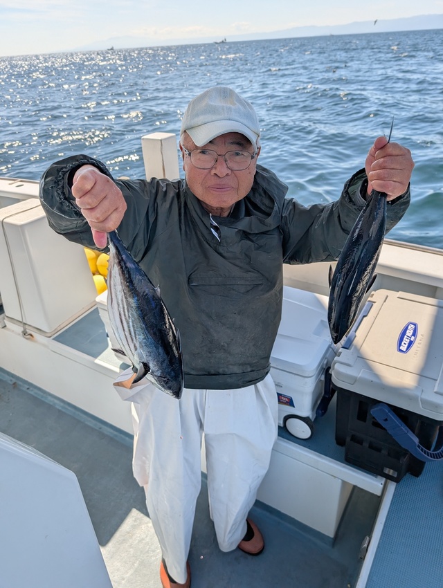 ホンガツオ(カツオ)