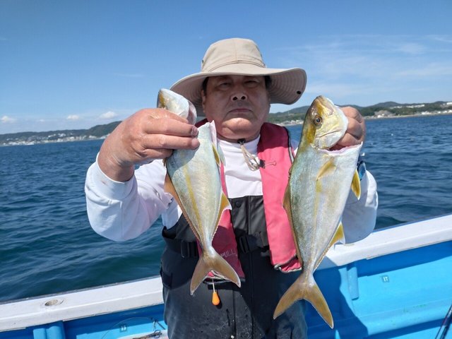 ショゴ(カンパチ)