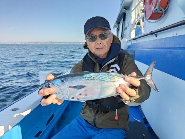 スマガツオ(スマ)