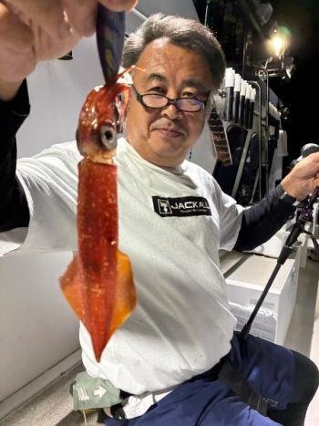 マイカ(ケンサキイカ)