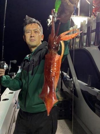 マイカ(ケンサキイカ)