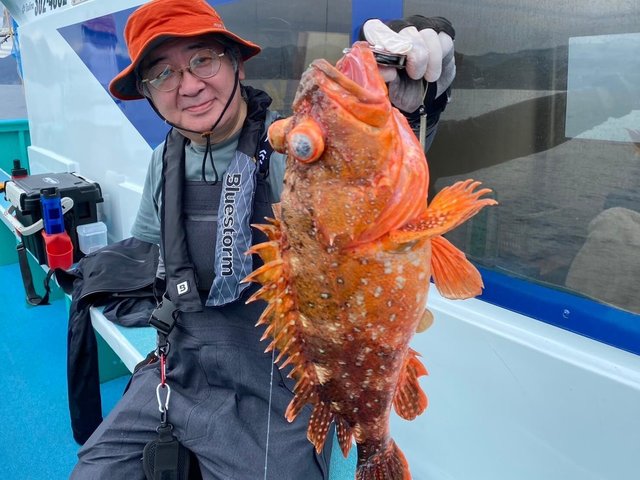 カンコ(ウッカリカサゴ)