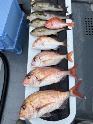 マダイ・レンコ(キダイ)・チダイ・イサキ