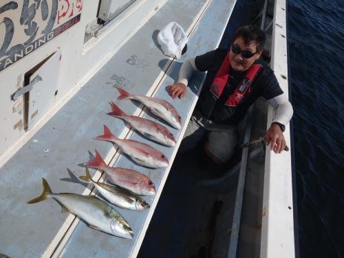 マダイ・アジ(マアジ)・イナダ(ブリ)