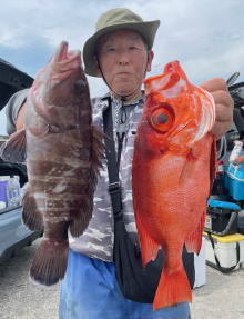 マハタ・キントキ(チカメキントキ)