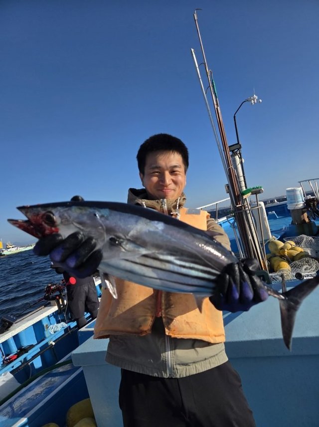 キハダマグロ(キハダ)