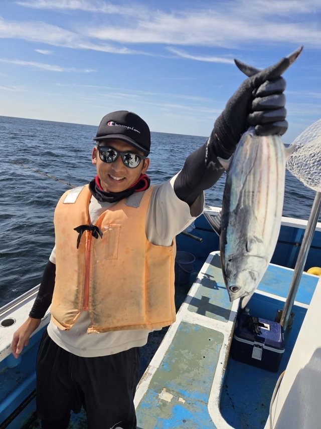 ホンガツオ(カツオ)