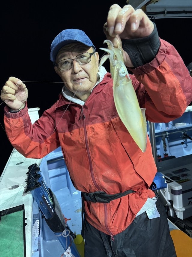 マルイカ(ケンサキイカ)