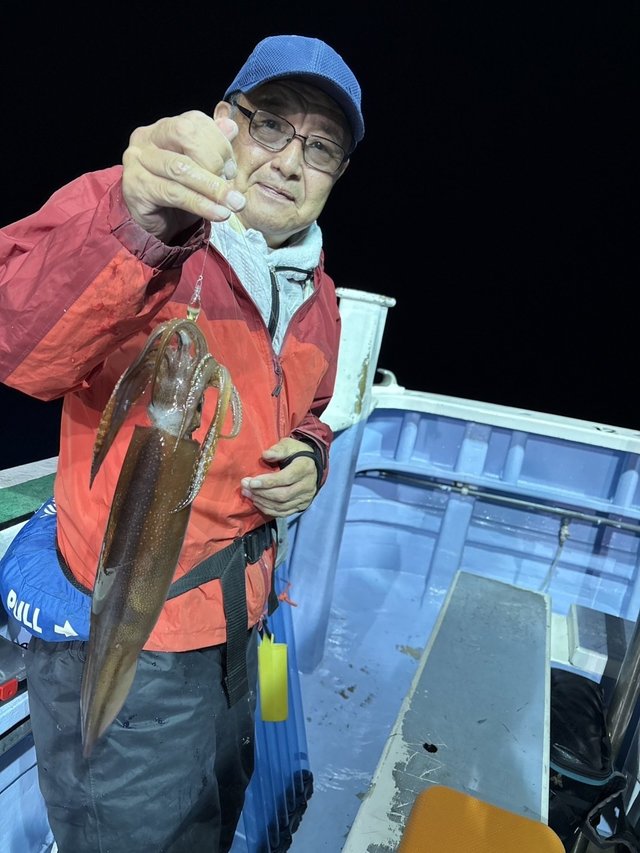 マルイカ(ケンサキイカ)