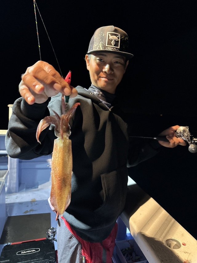 マルイカ(ケンサキイカ)