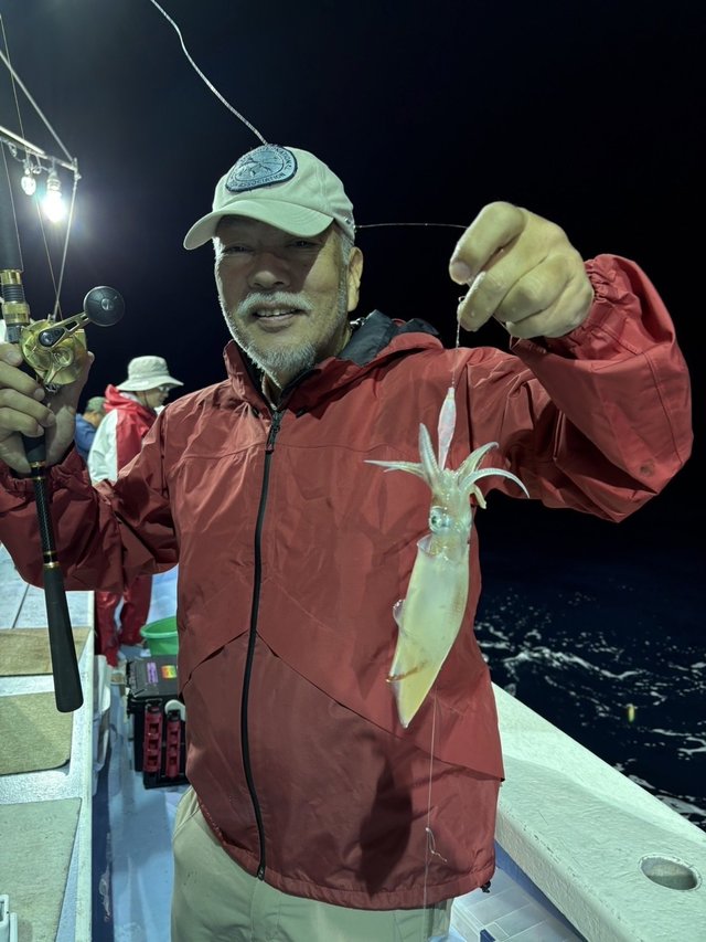 マルイカ(ケンサキイカ)