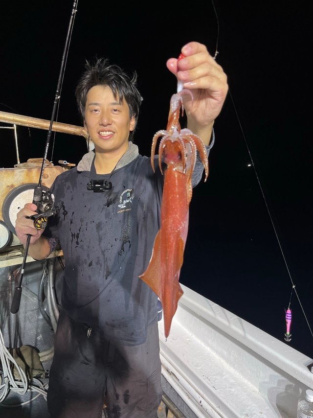 イカ(ケンサキイカ)