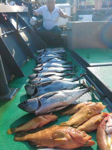 キジハタ・ヨコスジフエダイ・コシナガ