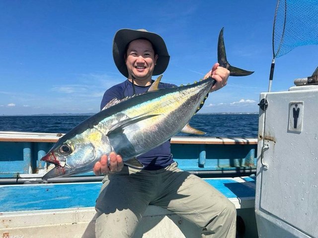 キメジ(キハダ)