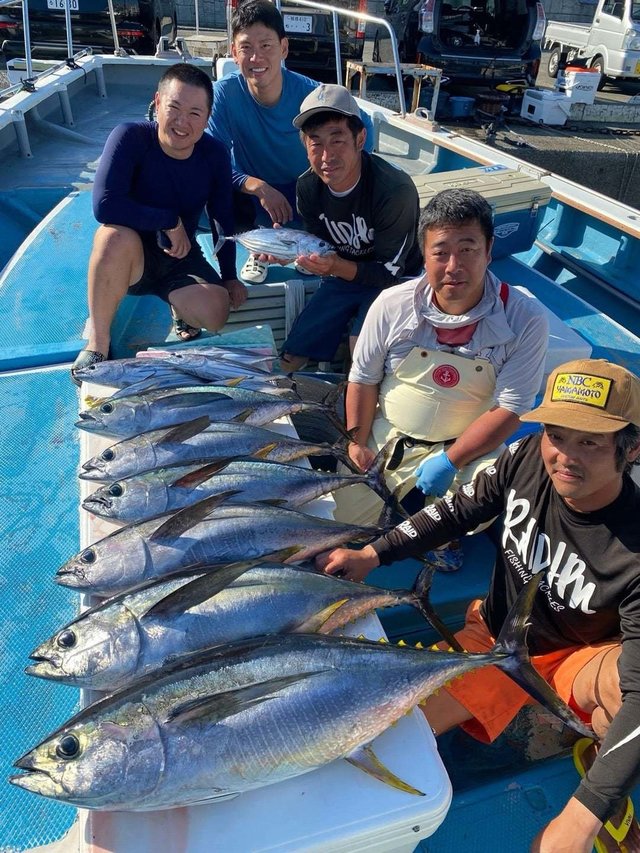 キメジ(キハダ)・カツオ