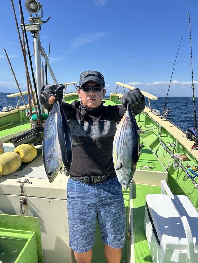 ホンガツオ(カツオ)