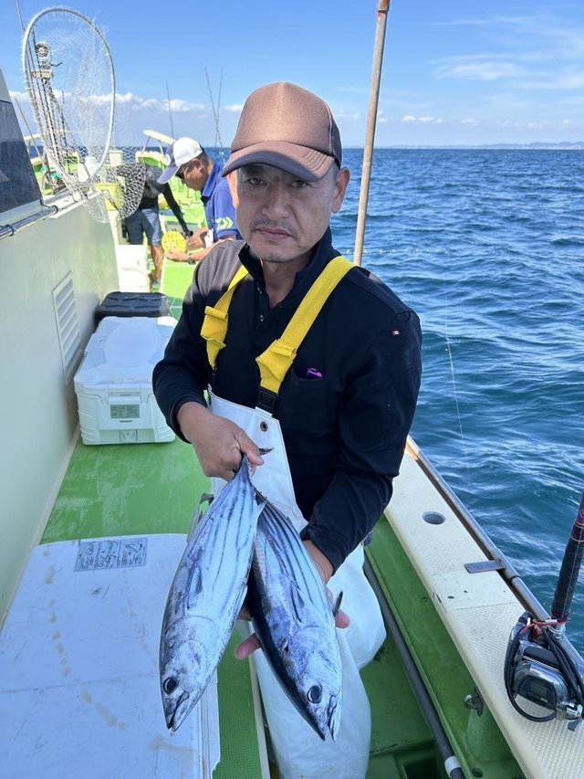 ホンガツオ(カツオ)