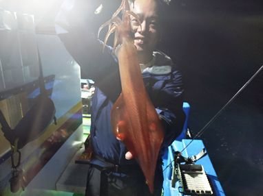 マイカ(ケンサキイカ)