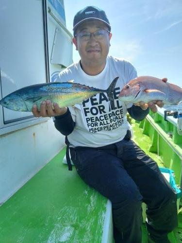 マダイ・ヒラソーダ(ヒラソウダ)